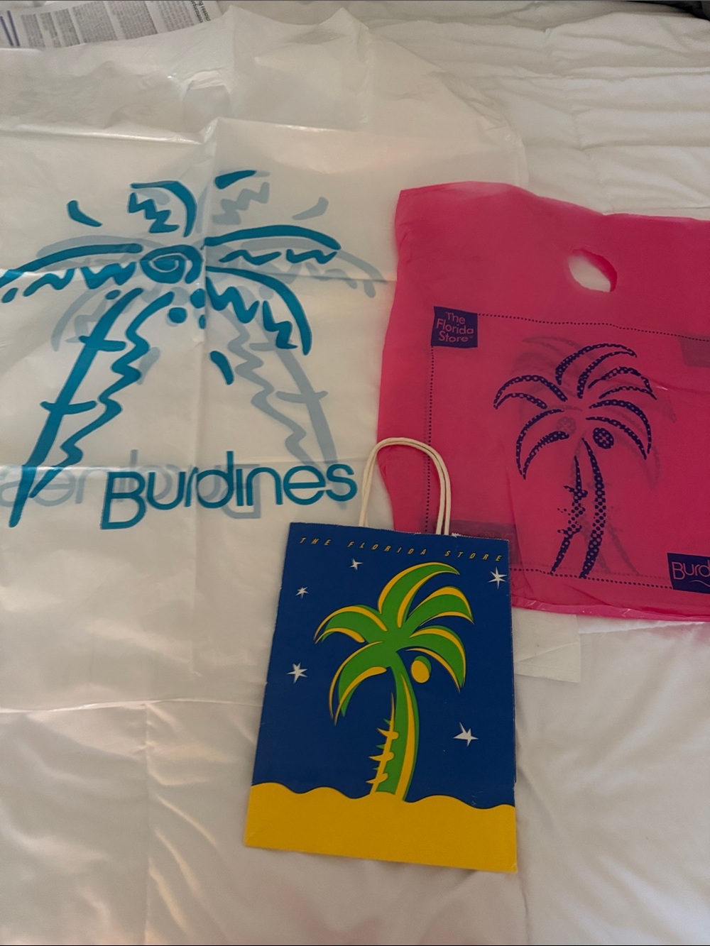 Burdines-The Florida Store- vintage and collectible shopping bags. (3)